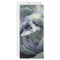 purple cabbage rack cards