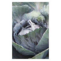 purple cabbage stationery