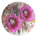 Purple Cactus Bloom Dinner Plate