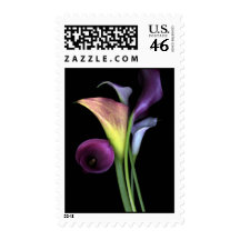 Purple Calla Lilies Stamps