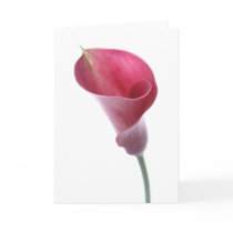 Purple Calla Lily Card