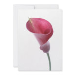 Purple Calla Lily Invitation