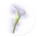 Purple Calla Lily stickers