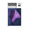 Purple Callas postage