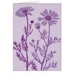 purple camomile cards