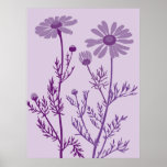 purple camomile posters