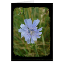 Purple cards by angelandspot Purple cards