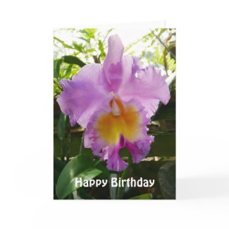 Purple Cattleya Orchid Flower Custom Greeting Card Template