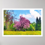 Purple Cherry Tree On Yellow Flower Field posters