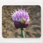 Purple Chive Herb Flower Bloom Mouse Pad
