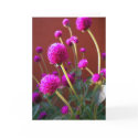 Purple Chorus/ Card by riverme Purple Chorus/ Card