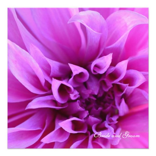 Purple Chrysanthemum Wedding Invitation