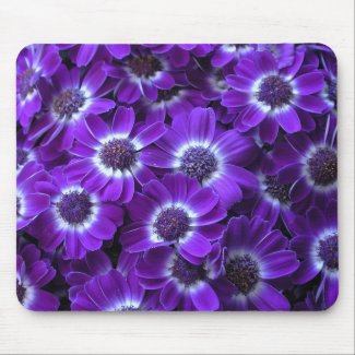 Purple Cineraria mousepad