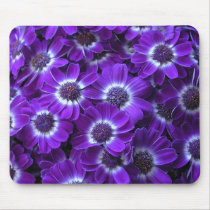 Purple Cineraria Mouse Pads