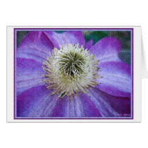 Purple Clematis cards by MDBerry Purple Clematis cards