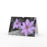Purple Clematis Card cards
