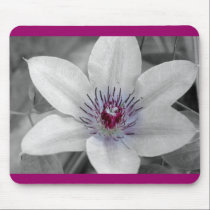 Purple Clematis Flower Mouse Pad mousepads