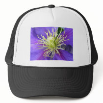 Purple Clematis hats