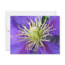 Purple Clematis invitations by Ljrigg Purple Clematis invitations