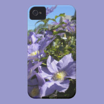 Purple Clematis iPhone 4 case casemate cases