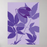 purple clematis posters