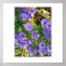 Purple Clusters Poster