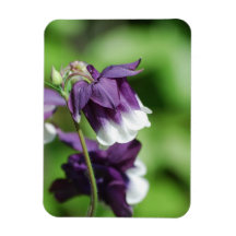 Purple Columbine Flexible Magnet
