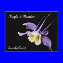 Purple Columbine, Save the Date! postcards