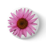 Purple Cone Flower Pinback Buttons