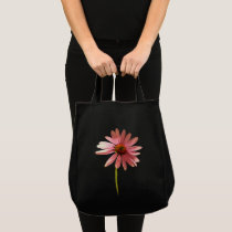 Purple Cone Flower Echinacea purpurea bags