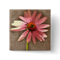 Purple Cone Flower Echinacea purpurea Pins