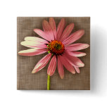 Purple Cone Flower Echinacea purpurea Pins