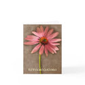 Purple Cone Flower Echinacea purpurea cards