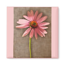 Purple Cone Flower Echinacea purpurea magnets