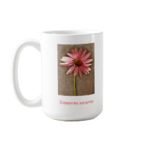 Purple Cone Flower Echinacea purpurea mugs by samack Purple Cone Flower Echinacea purpurea mugs