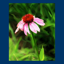 Purple Cone Flower Painting Poster posters