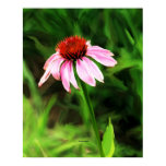 Purple Cone Flower Painting Poster Purple Cone Flower Painting Poster