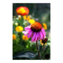 Purple Cone Flower posters