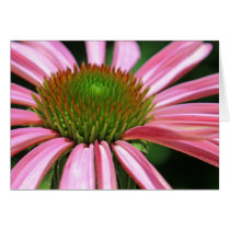 Purple Coneflower Card