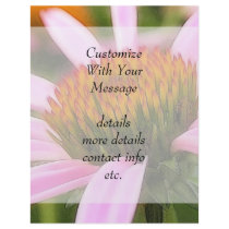 Purple Coneflower Full Color Flyer
