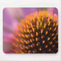Purple Coneflower • Mousepad