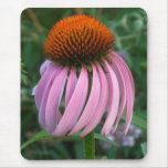 PURPLE CONEFLOWER mousepad