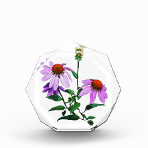 Purple Coneflower Paperweight Awards