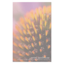 Purple Coneflower • Personalized Stationery by SabineSt Purple Coneflower • Personalized Stationery