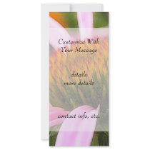 Purple Coneflower Rack Cards