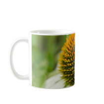 Purple Coneflower | Sonnenhut mugs by HortusFloridus Purple Coneflower | Sonnenhut mugs