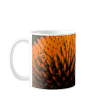 Purple Coneflower | Sonnenhut mugs by HortusFloridus Purple Coneflower | Sonnenhut mugs