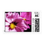 Purple Cosmo Stamp