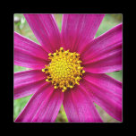 Purple Cosmos Magnet