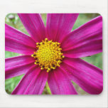 Purple Cosmos Mousepad